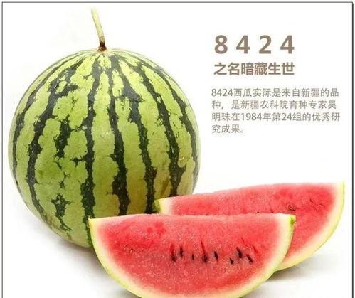 冷暖自己渡 吃瓜